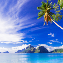 perfect tropical beach scenery - islands of Philippines, Palawan