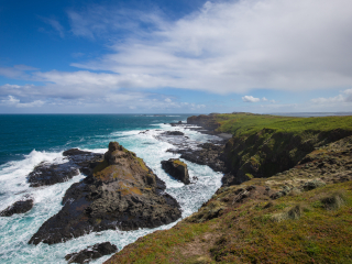 菲力普企鹅自然保护区