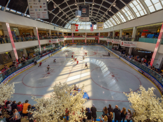 西埃德蒙顿购物中心