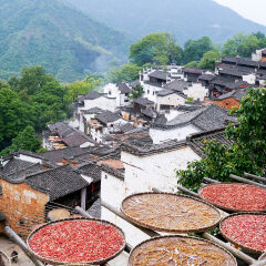 Drying the Harvest in Wuyuan