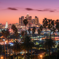 Beautiful sunset of Los Angeles downtown skyline and palm trees in foreground