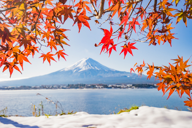 四天五晚暴走东京 箱根 玩法攻略一应俱全 日本 攻略游记 途牛