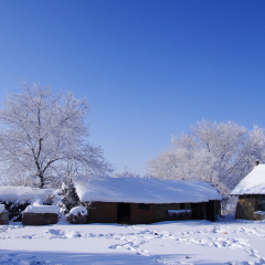 吉林雾凇岛村庄雪景