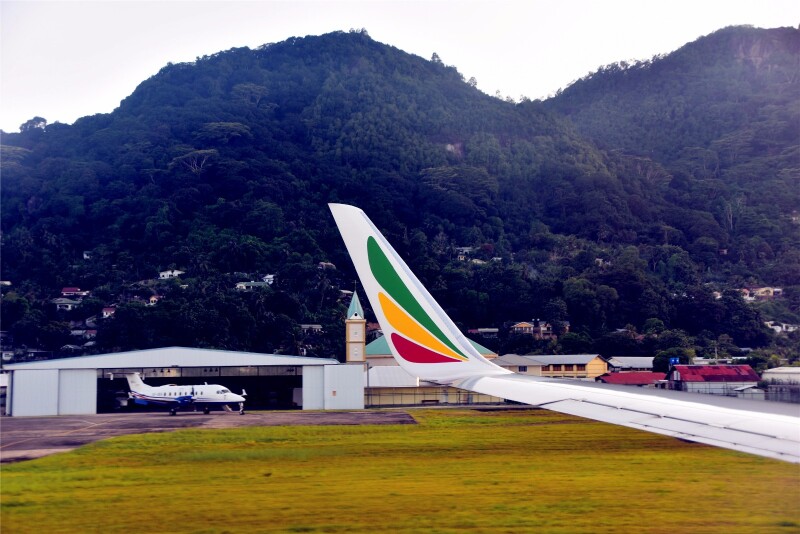 【首发】 #猎艳行动# 自由地徜徉在浅海和密林之中_塞舌尔国家植物园