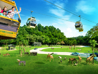 长隆野生动物世界