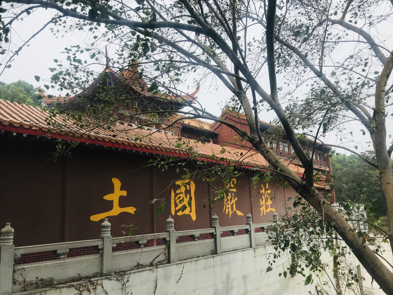 有因有果有菩提:深圳弘法寺和弘源寺