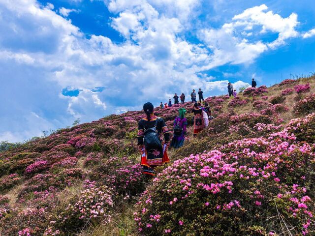  西昌 金阳丙已底村 雷波4日自驾游>赏索玛花,观开幕式,体验民俗风情
