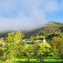 Estate in awesome misty mountains. Shot near Oudtshoorn, Western Cape, South Africa. 