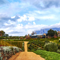 Stellenbosch is a town in the Western Cape province of South Africa, situated about 50 kilometres (31 miles) east of Cape Town, along the banks of the Eerste River at the foot of the Stellenbosch Moun