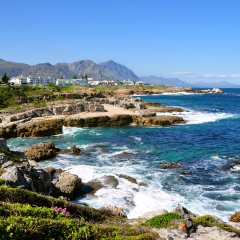 Beautiful Atlantic Ocean coast in Hermanus with waves crashing on the shore and houses on the cliff on sunny day, South Africa