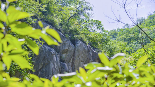 獵豔行動#【首發】貓貓遊河南 魯山神牛大峽谷 乘涼好去處