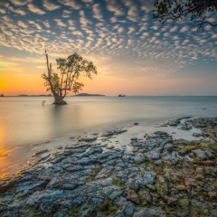 survive on the beach, Tanjung Pinggir Sekupang, Batam Island, Indonesia