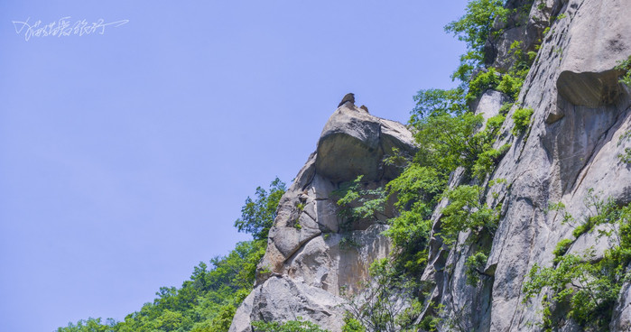 獵豔行動#【首發】貓貓遊河南 魯山神牛大峽谷 乘涼好去處