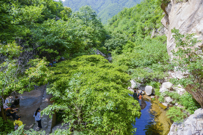 獵豔行動#【首發】貓貓遊河南 魯山神牛大峽谷 乘涼好去處