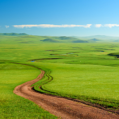 The Muzigler river valley of Hulunbuir grassland of China.