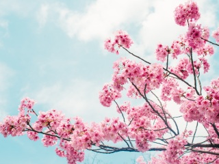 高槻图片大全 高清风景图片 途牛移动站动站