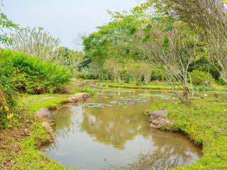 西双版纳热带植物园