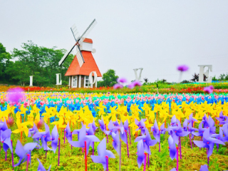 洈水国家森林公园