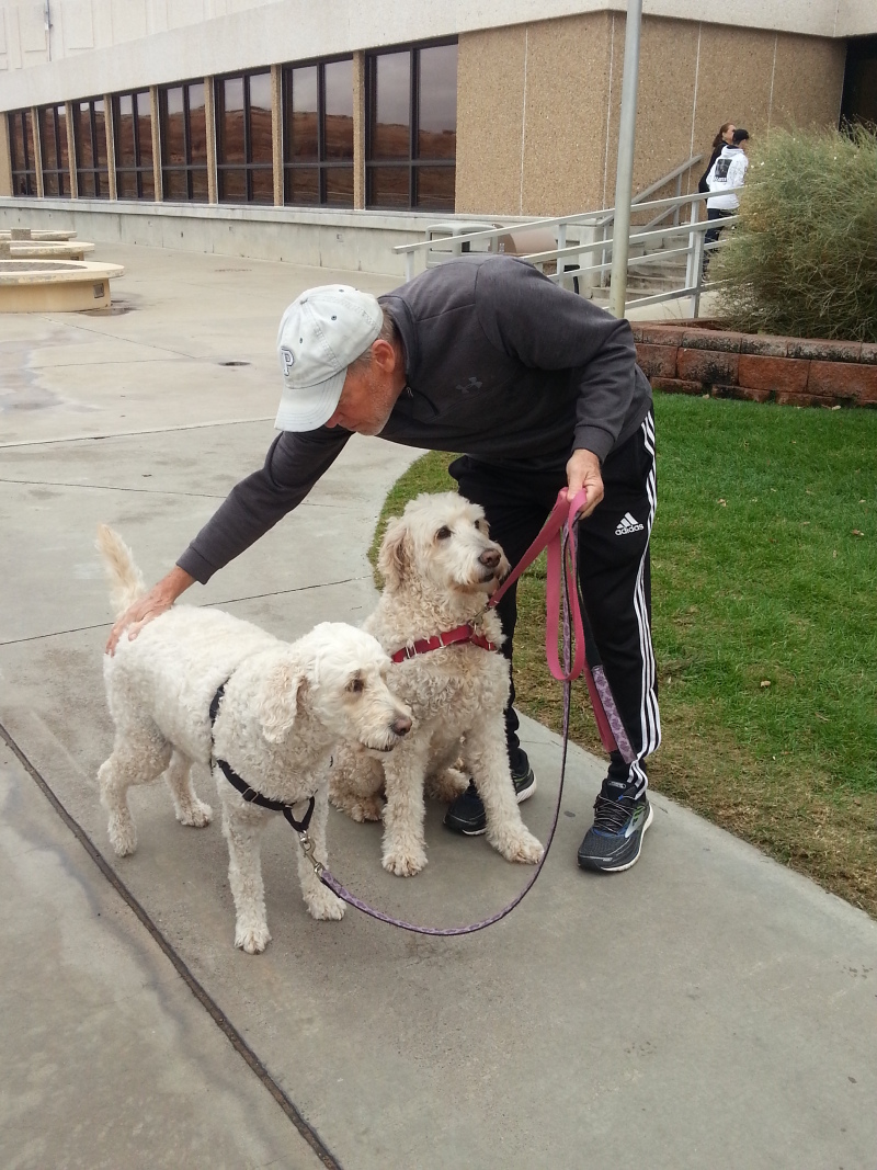 在格兰大坝遛狗的游人