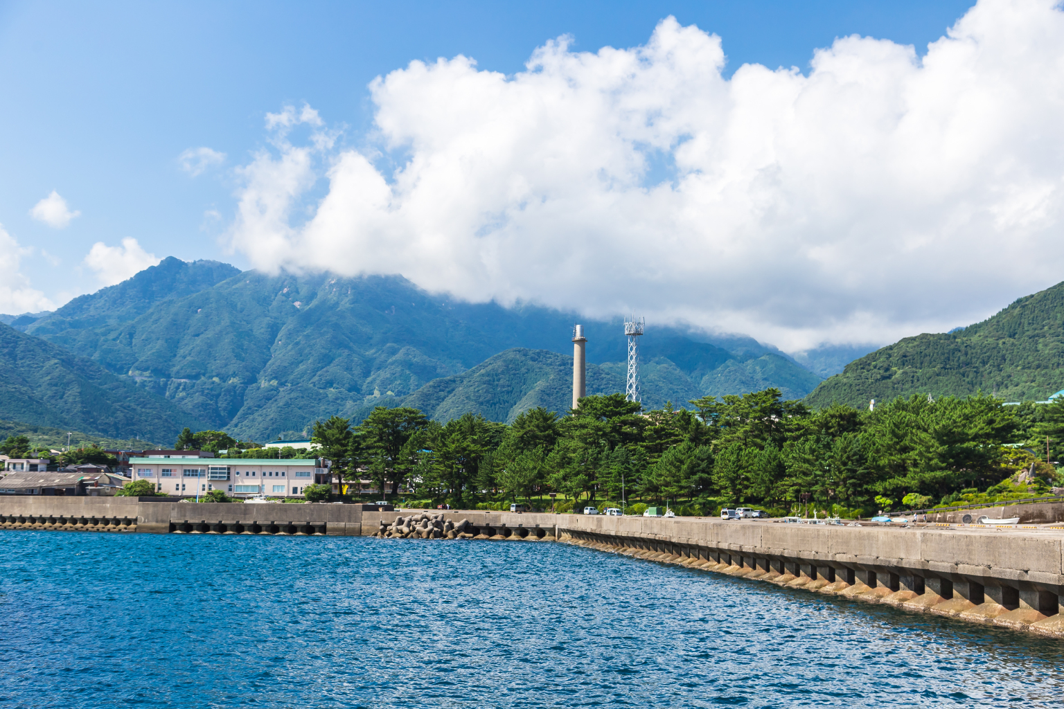 9是这样牛#日式清新之旅,去屋久岛的魔法森林漫步