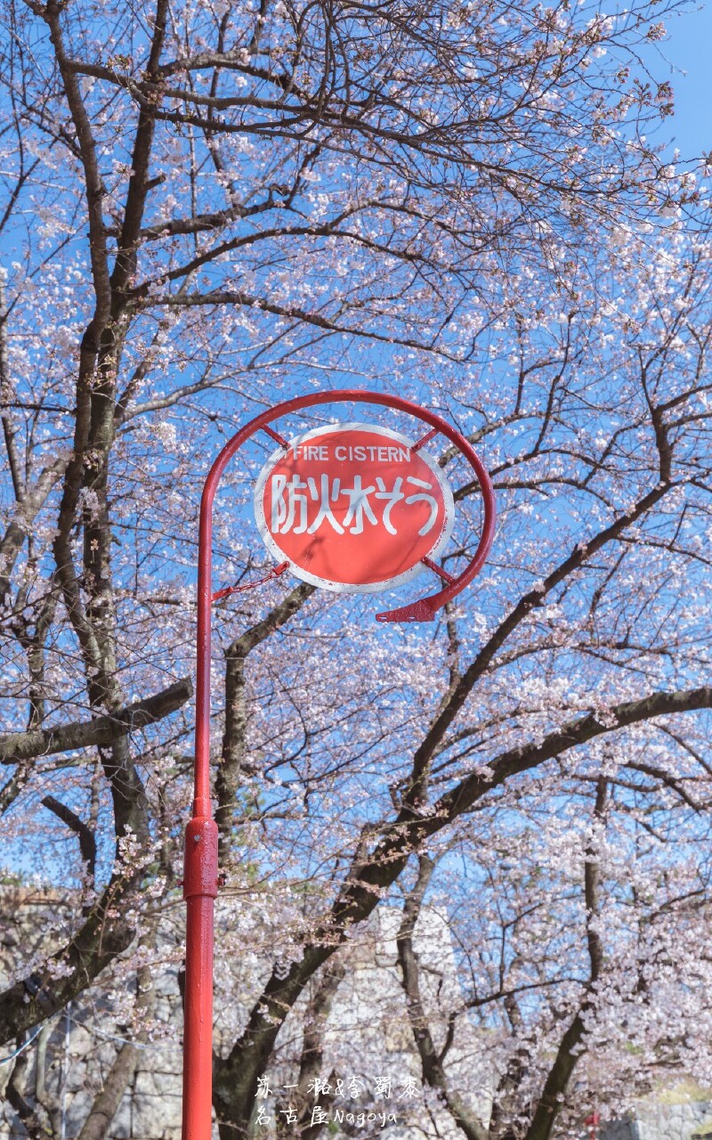 6天5晚日本升龙道赏樱玩法 怎么玩 旅游攻略 途牛玩法 6天5晚日本升龙道赏樱玩法 怎么玩 旅游攻略 途牛玩法