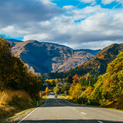 Arrowtown Junction