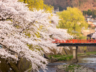 高山