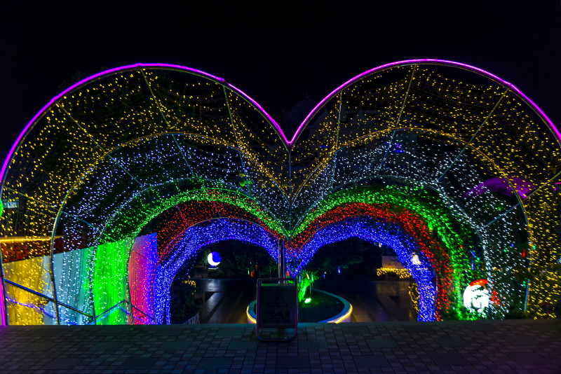 两天一夜百万葵园,我闻香而来,逐香而行