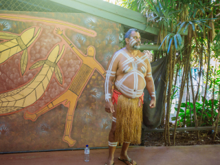 库兰达热带雨林公园