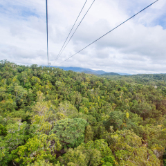 库兰达热带雨林公园 景点模块