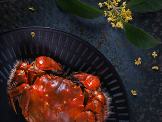 集鲜坊阳澄湖大闸蟹（建湘路店）