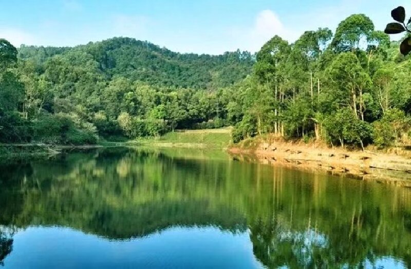 中秋周末上哪玩观澜九龙农家生态园_深圳游记_途牛