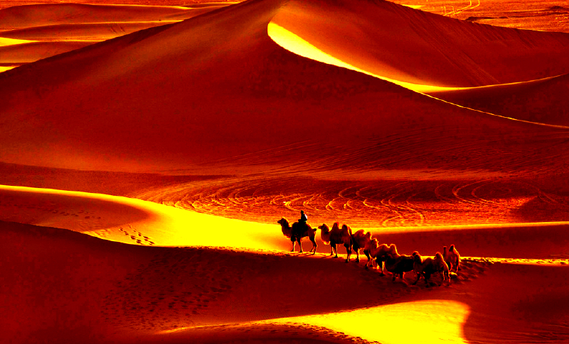 全国四大沙漠之一的腾格里沙漠