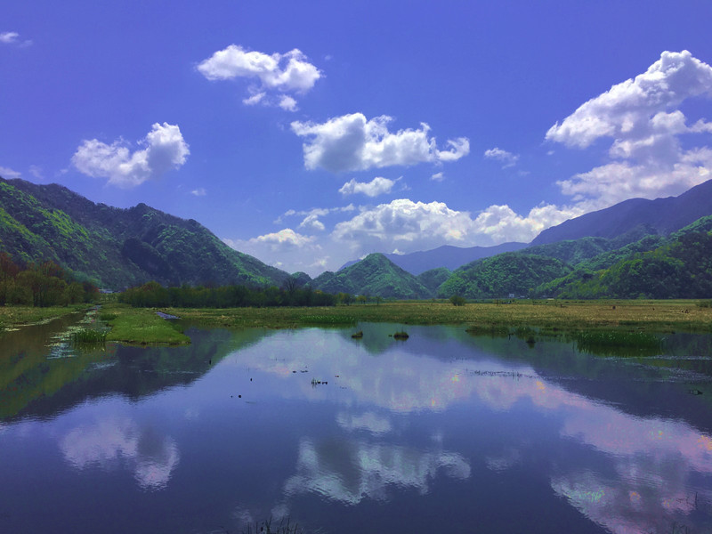 三冠王神農架的璀璨明珠大九湖