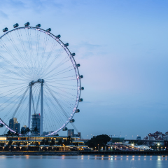 ferris wheel skyline