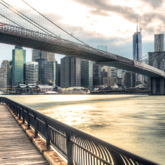 New York City Binoculars