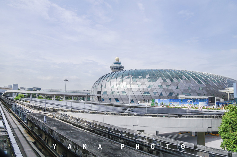 新加坡机场真实图片图片