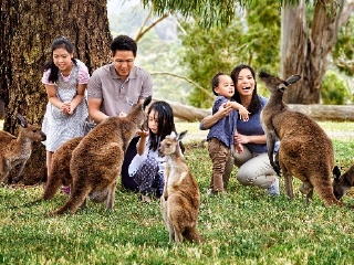 克莱兰德野生动物园 