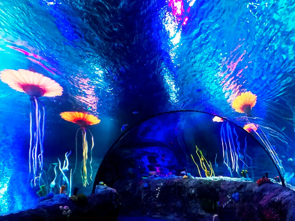 沈阳海洋探索中心