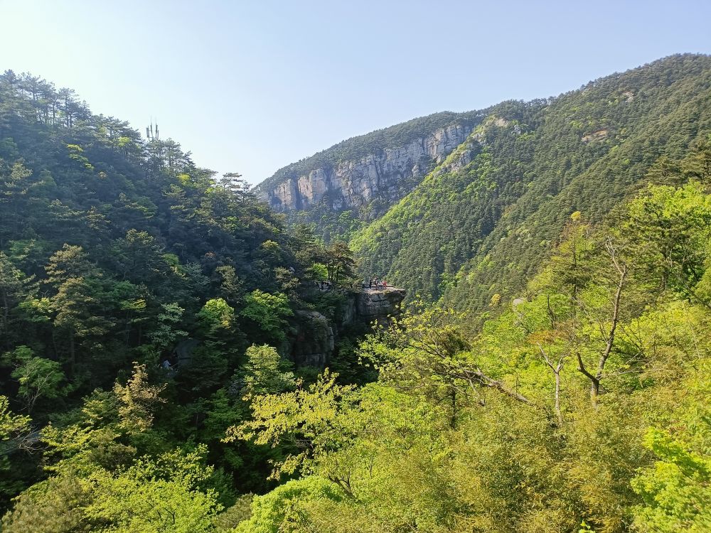 上山頂含中餐,精緻團享雲霧茶,廬山瀑布/天橋雲海/美廬23個景點全玩到