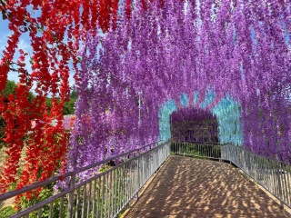 抚顺南天门文化旅游风景区 