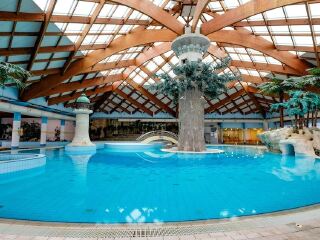 萨拉热窝山会议及温泉Spa酒店