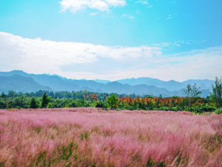 酉阳叠石花谷景区