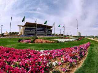 King Abdulaziz Equestrian Field阿卜杜勒阿齐兹国王跑马场