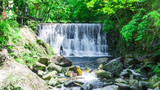 醉山野景区