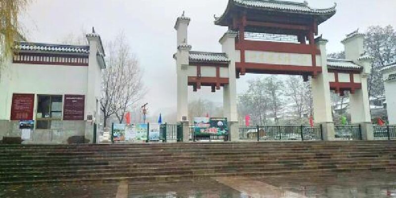 产品图1