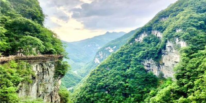 产品图1