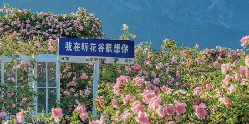 产品图1