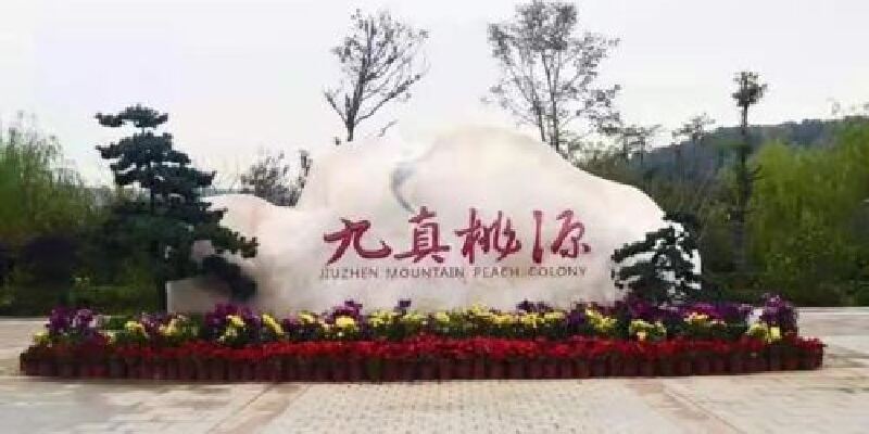 产品图1