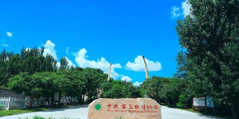 产品图1